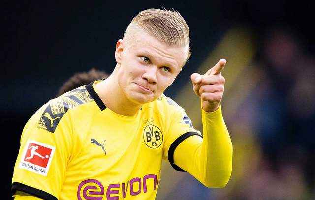 某内容创作 某内容创作